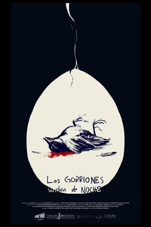 Постер до фільму «Los gorriones vuelan de noche»