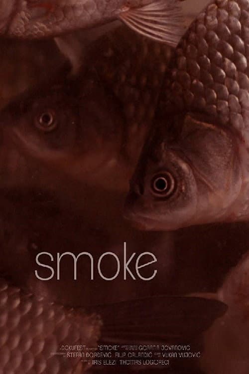Poster for Smoke