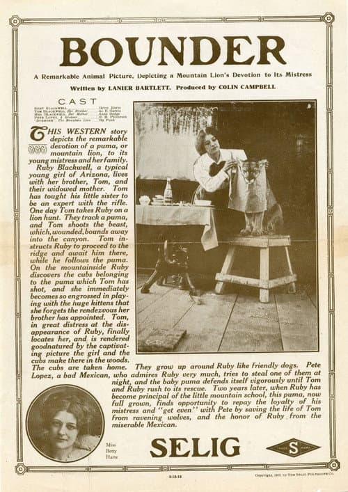 Poster for Bounder
