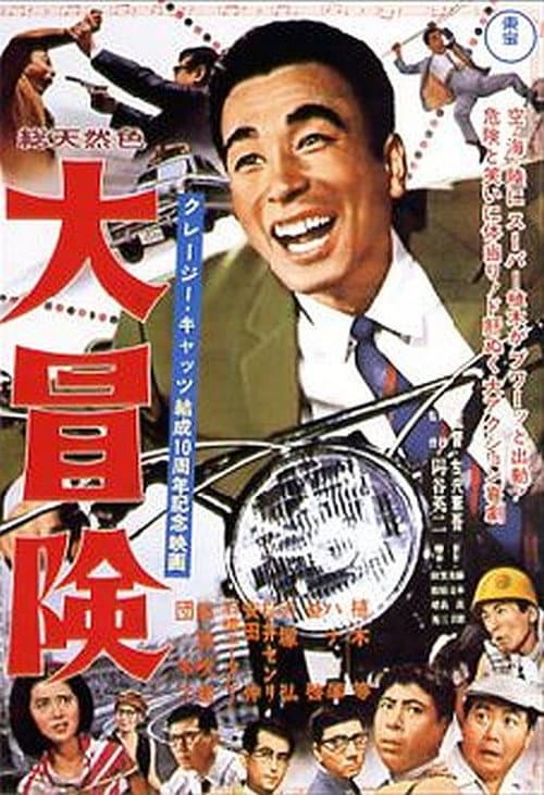 Poster for The Crazy Adventure