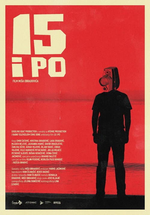 Poster for 15 and a Half