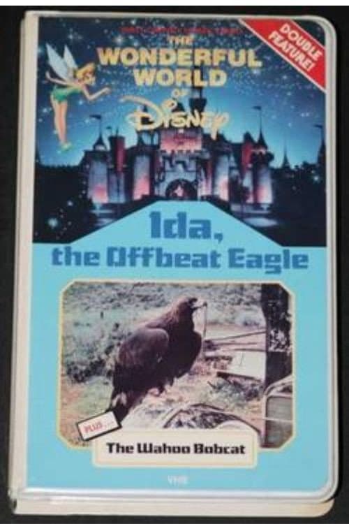 Poster for Ida, the Offbeat Eagle