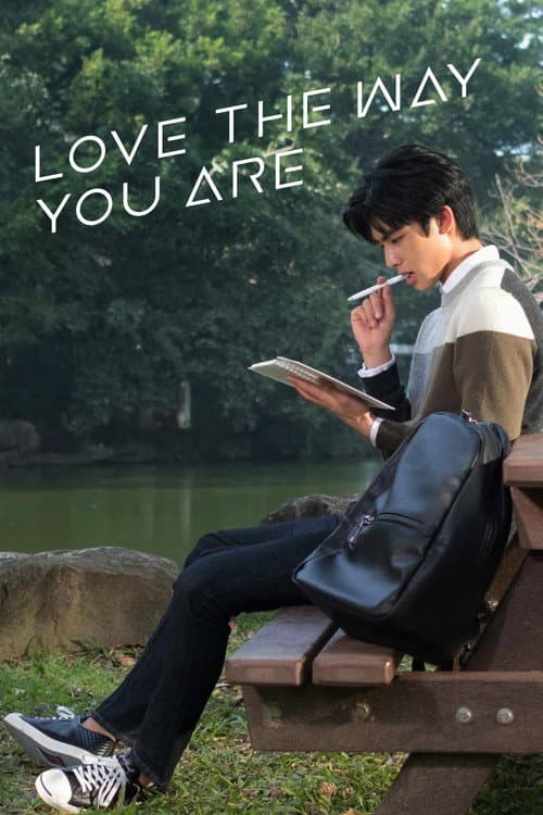 Poster for Love The Way You Are