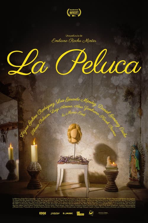 Poster for The Wig