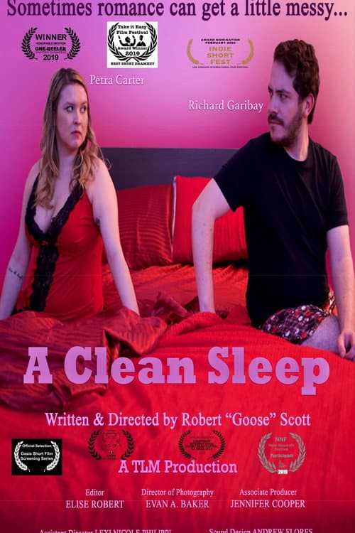 Poster for A Clean Sleep