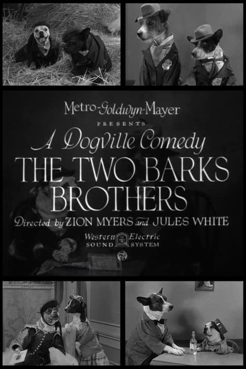 Poster for The Two Barks Brothers