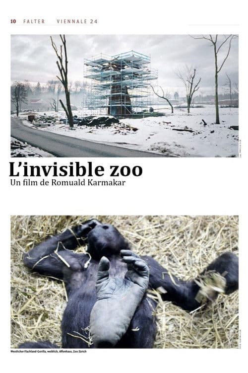 Poster for The Invisible Zoo