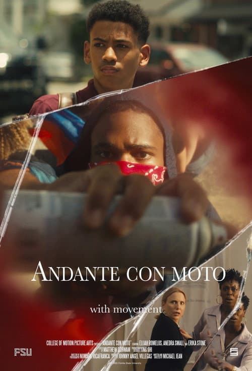 Poster for Andante con moto