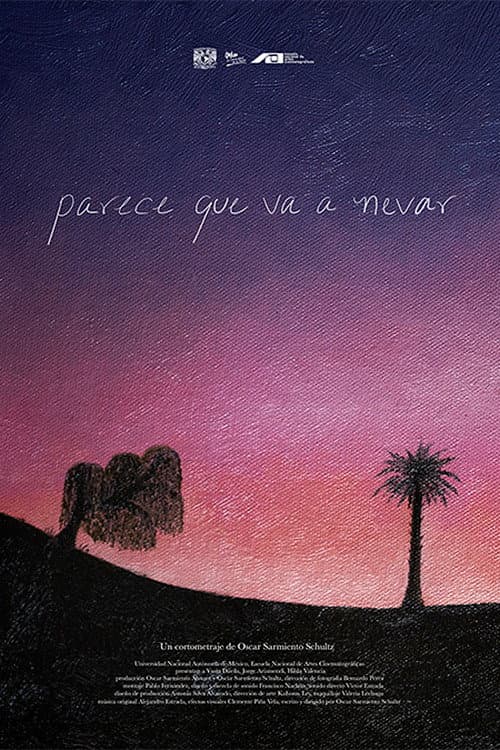 Poster for Parece que va a nevar