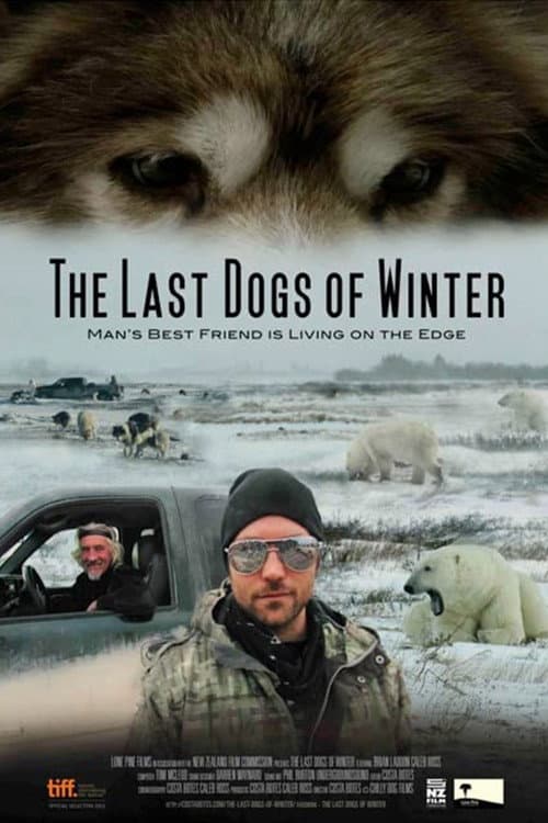 Постер до фільму «The Last Dogs of Winter»