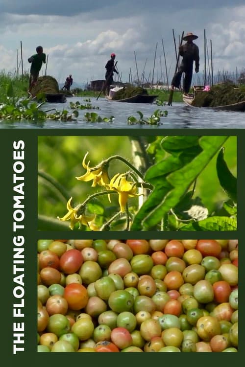 Poster for The Floating Tomatoes