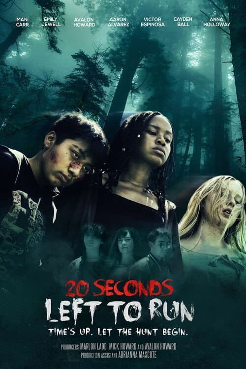 Poster for 20 Seconds Left to Run