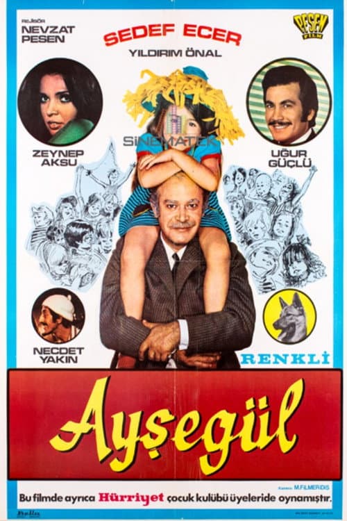 Poster for Ayşegül