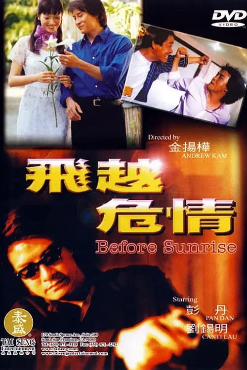 Poster for 飞越危情