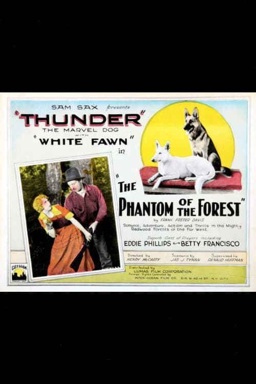 Poster for The Phantom of the Forest