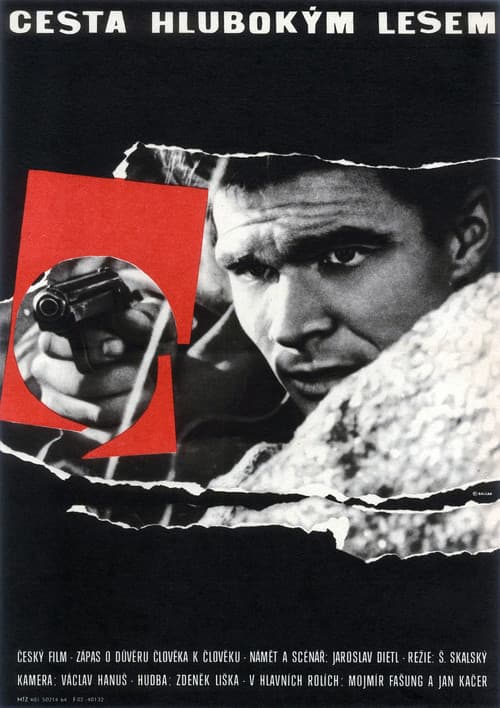 Poster for Passing Through a Thick Forest
