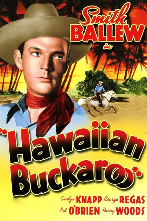 Постер до фільму «Hawaiian Buckaroo»