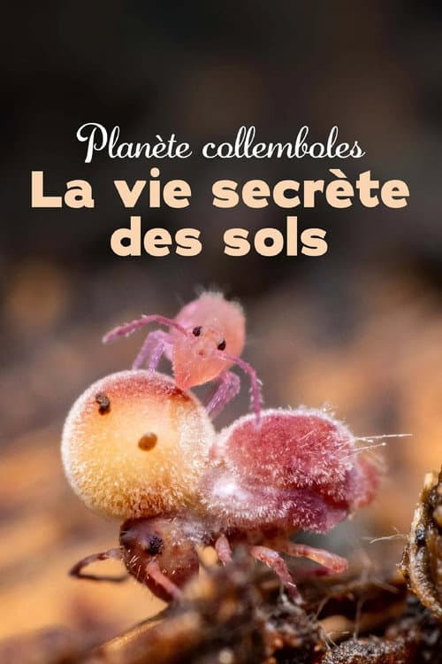Poster for Springtails: The hidden soldiers of Earth