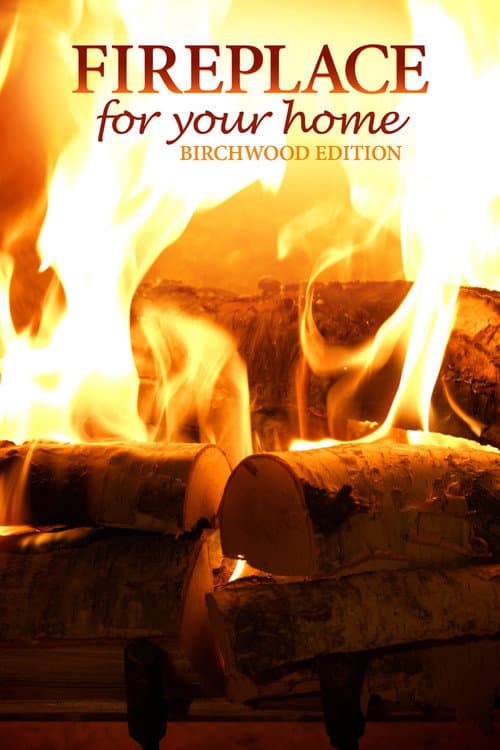 Poster for Fireplace for Your Home: Birchwood Edition