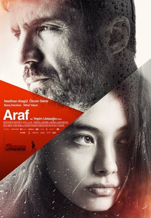 Poster for Araf/Somewhere in Between