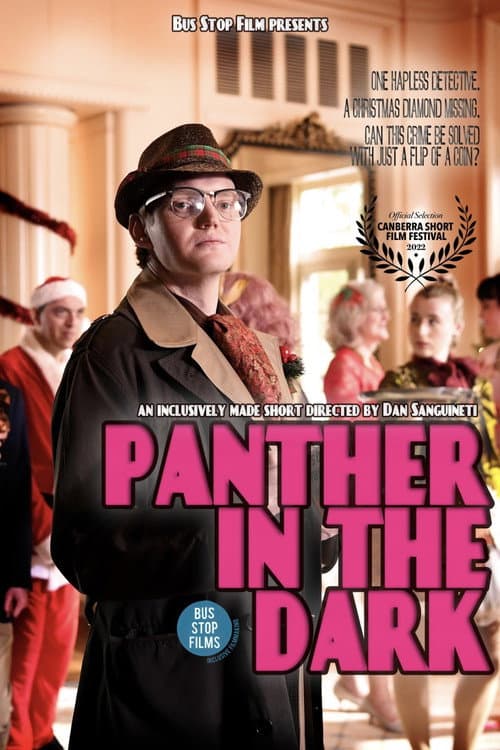 Poster for Panther in the Dark