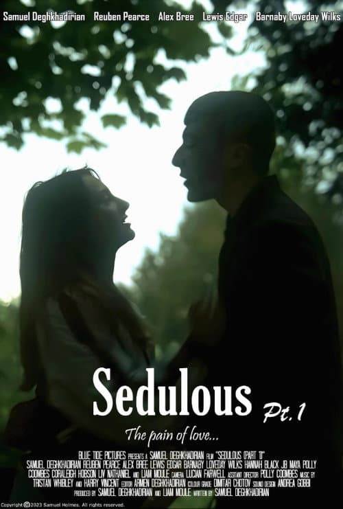 Poster for Sedulous - Part 1