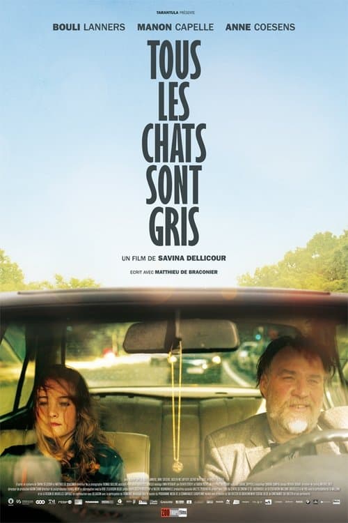 Poster for All Cats Are Grey