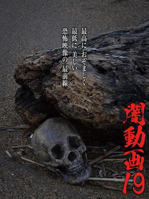 Постер до фільму «Tokyo Videos of Horror 19»