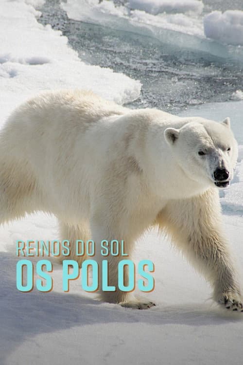 Poster for Polar: Kingdoms of the Sun