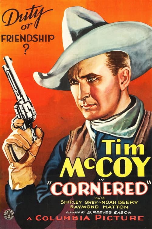Poster for Cornered
