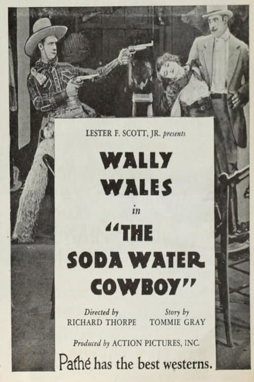 Poster for The Soda Water Cowboy