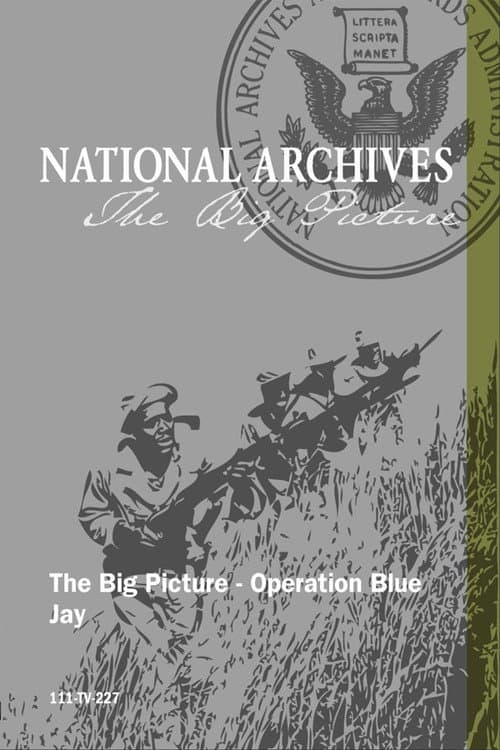 Poster for Operation Blue Jay