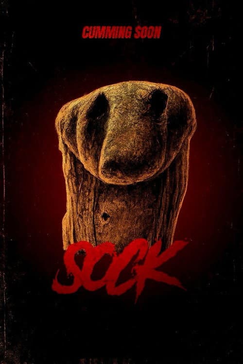 Poster for Sock