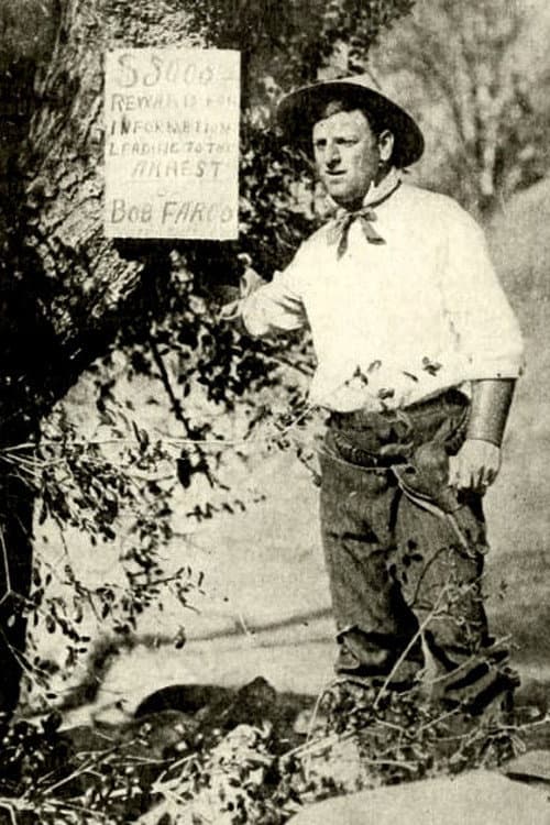 Poster for A Road Agent's Love