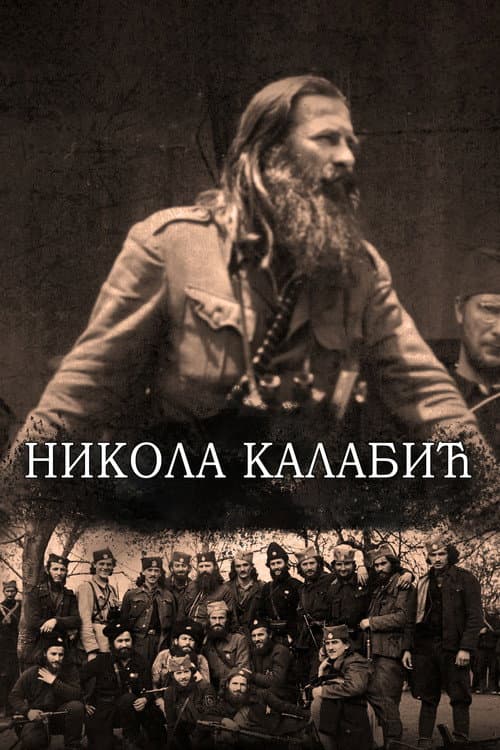 Poster for Nikola Kalabić