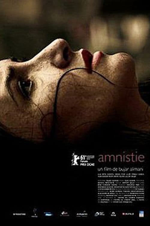 Poster for Amnesty