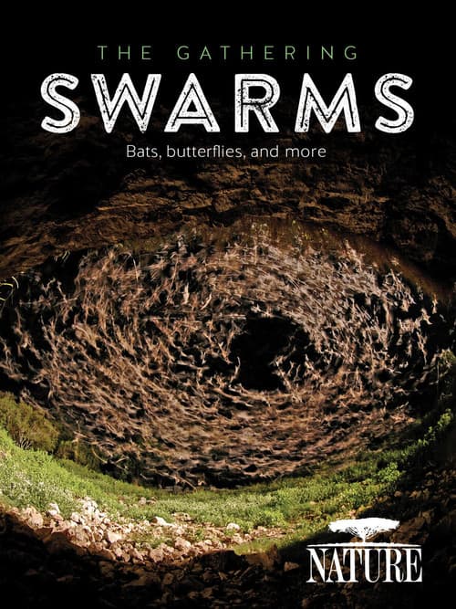 Poster for The Gathering Swarms