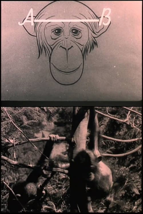Poster for The Man and the Monkey