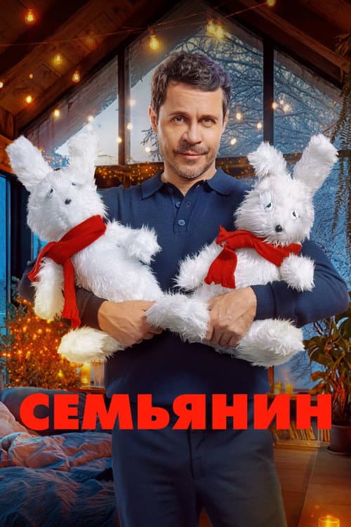 Poster for The Family Man