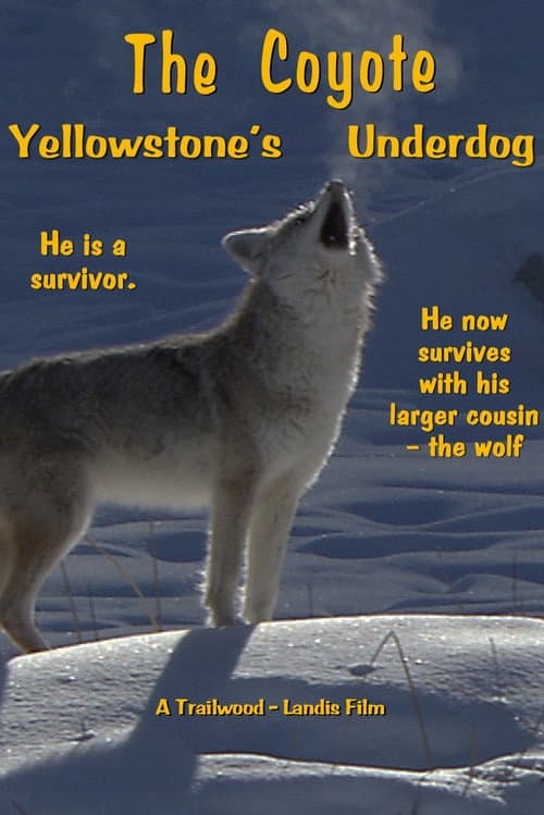 Poster for The Coyote: Yellowstone's Underdog