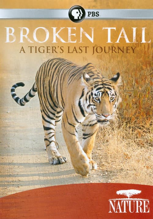 Poster for Broken Tail: A Tiger's Last Journey