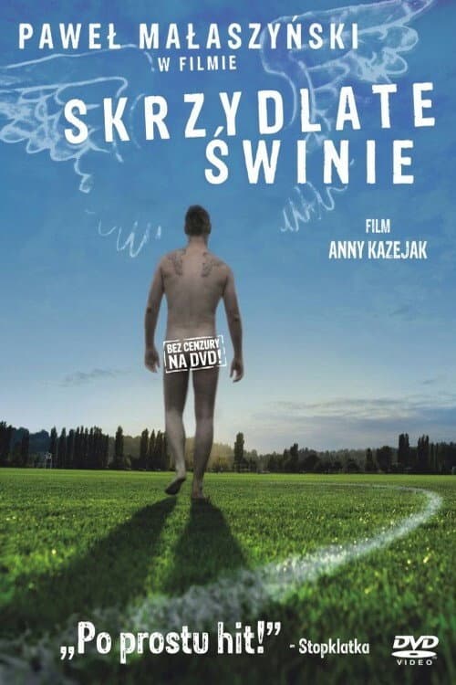 Poster for Flying Pigs