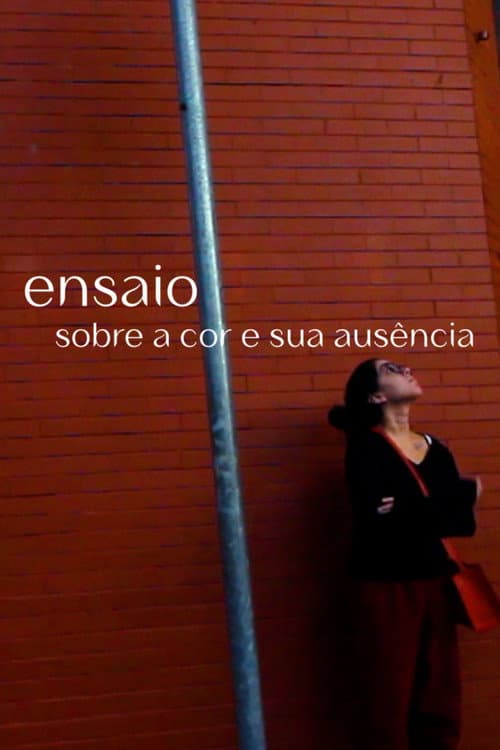 Poster for Essay on color and its absence