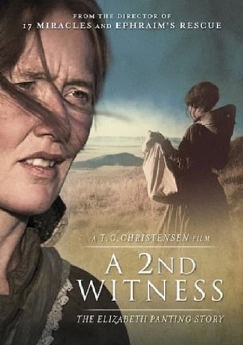 Poster for A 2nd Witness
