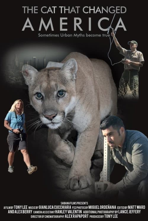 Poster for The Cat That Changed America