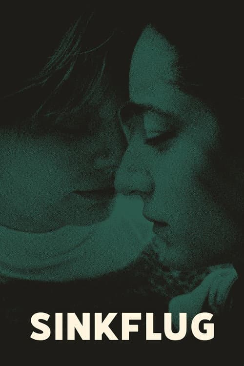 Poster for Loss of Altitude