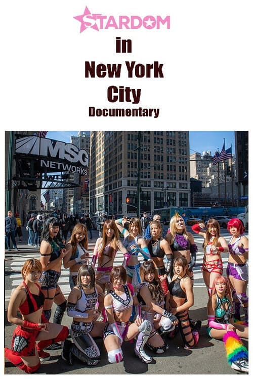 Poster for Stardom in NYC