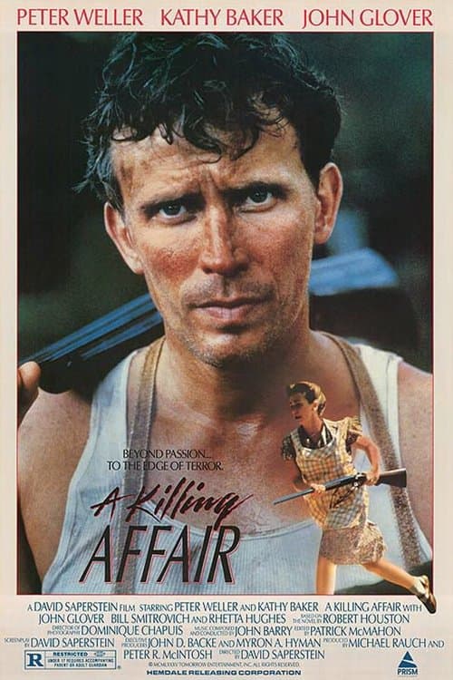 Poster for A Killing Affair