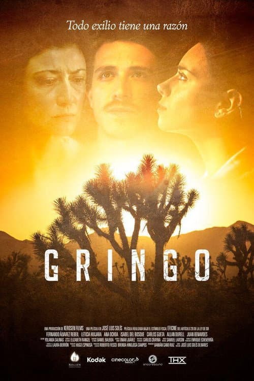 Poster for Gringo