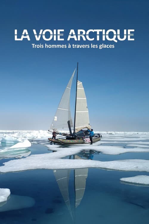 Poster for La Voie arctique - Trois hommes à travers les glaces